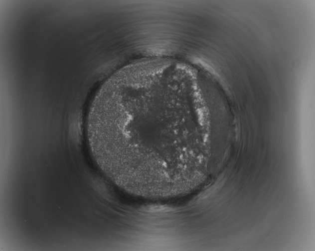 X0000088670590200706281923