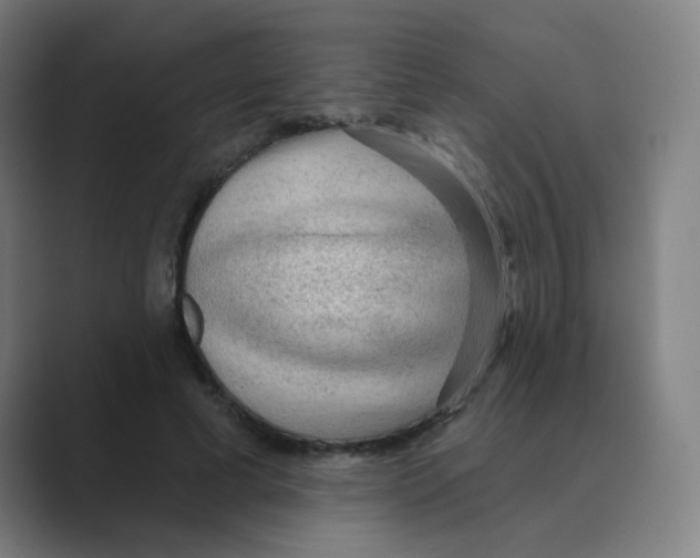 X0000088670593200706281923