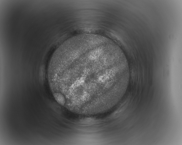 X0000088670594200706281923
