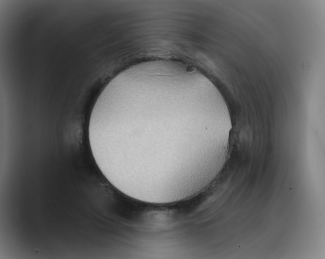 X0000088670595200706281923