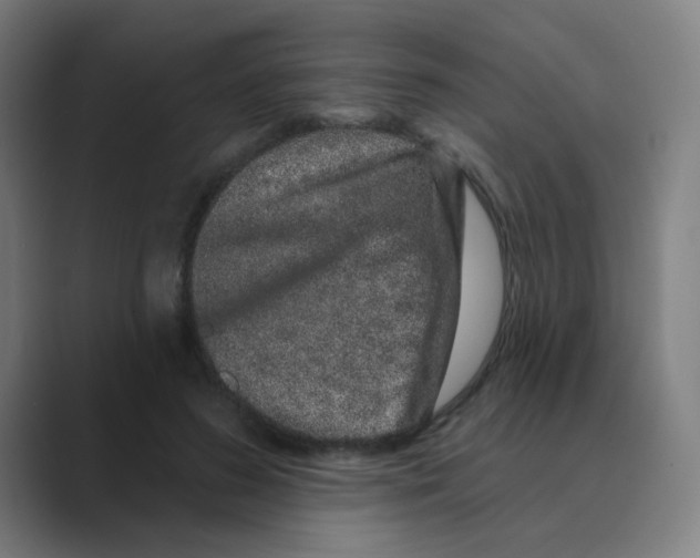X0000088670596200706281923