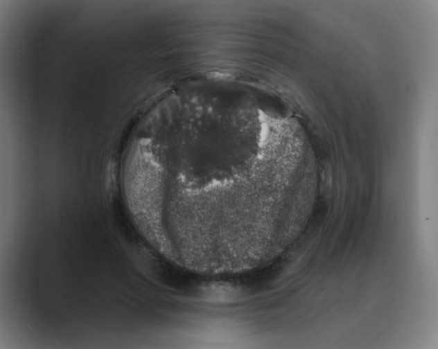 X0000088670598200706281923