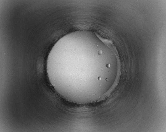 X0000088670600200706281923