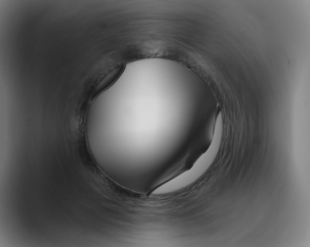X0000088670601200706281923