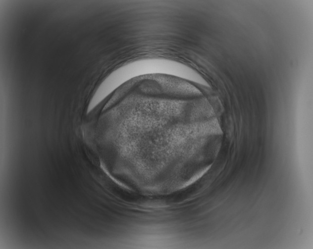 X0000088670604200706281923