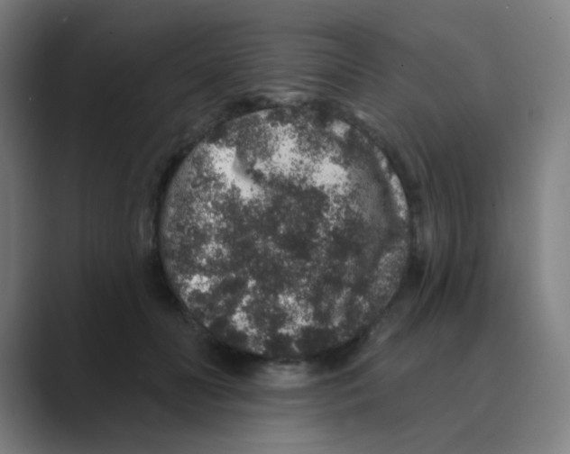 X0000088670606200706281923