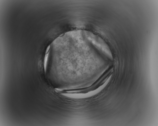 X0000088670609200706281923
