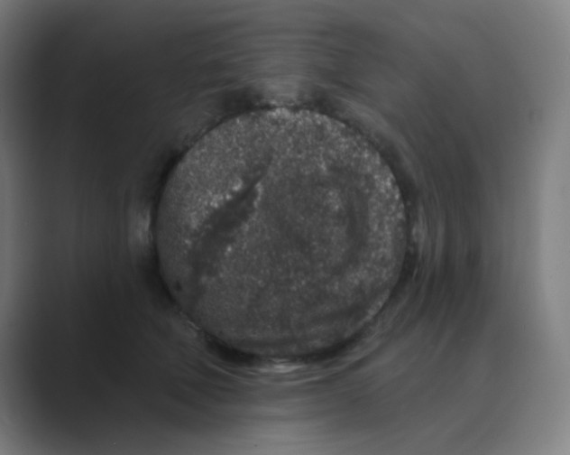 X0000088670610200706281923