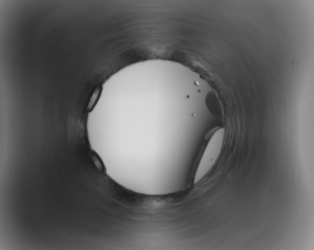 X0000088670613200706281923