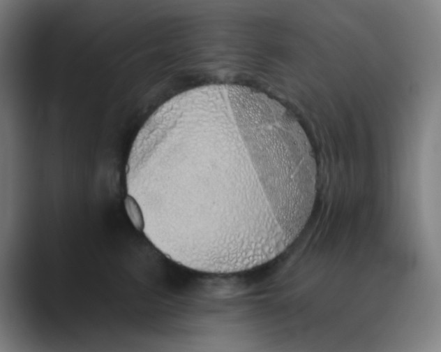 X0000088670615200706281923