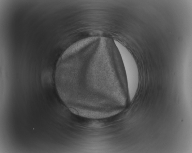 X0000088670616200706281923