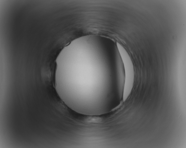 X0000088670617200706281923