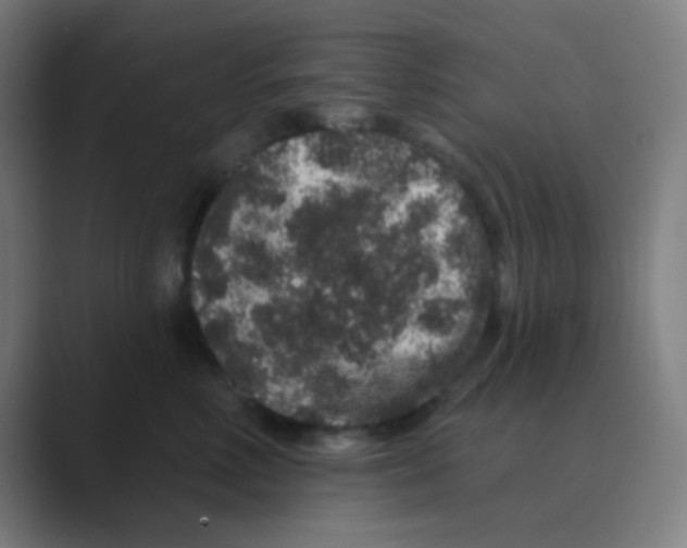 X0000088670618200706281923