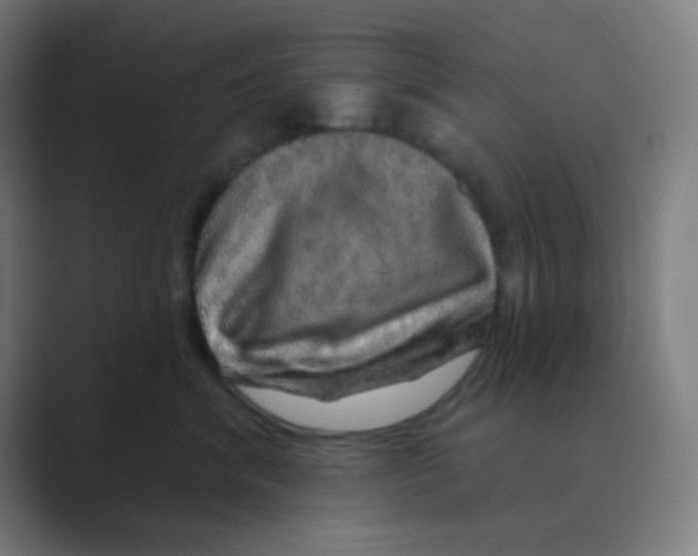 X0000088670620200706281923