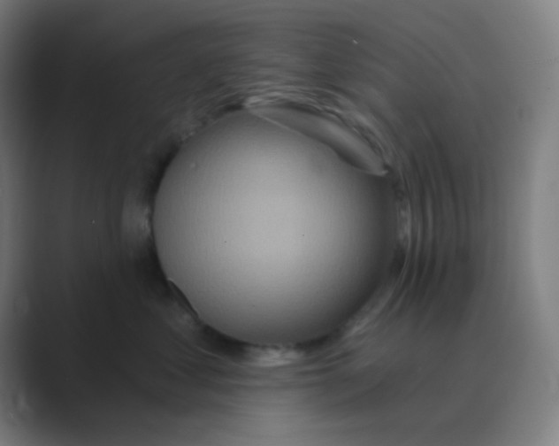 X0000088670621200706281923