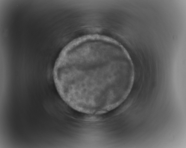 X0000088670624200706281923