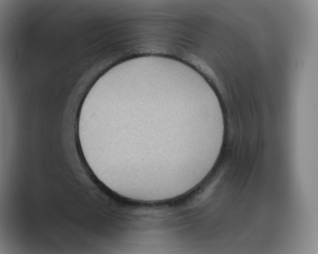 X0000088670625200706281922