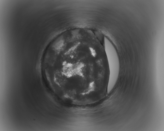 X0000088670626200706281922