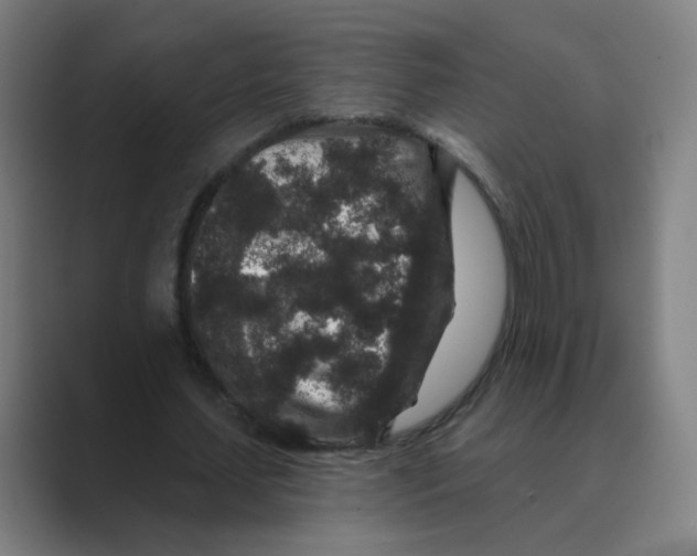 X0000088670627200706281922