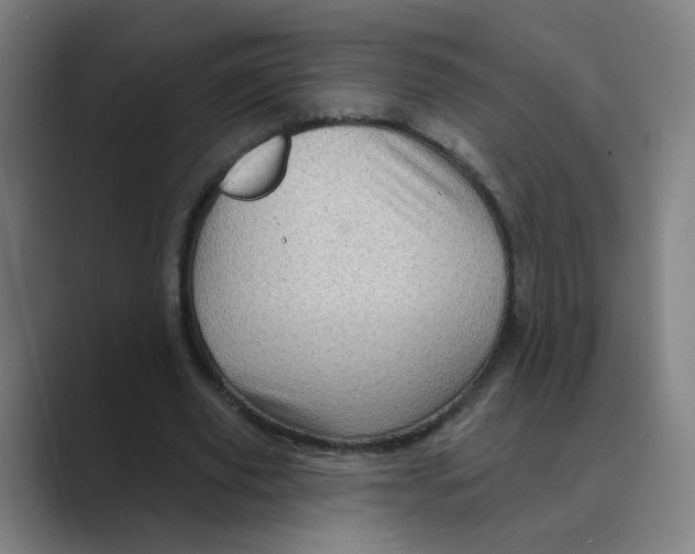 X0000088670629200706281922