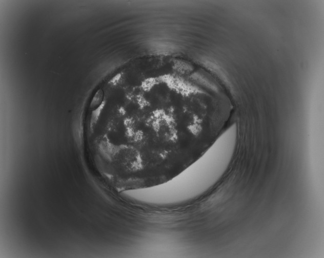 X0000088670630200706281922