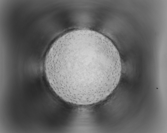 X0000088670632200706281922