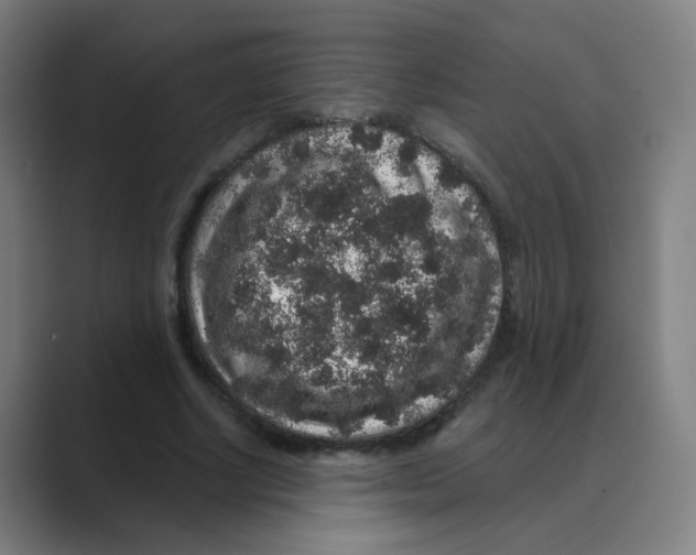 X0000088670634200706281922