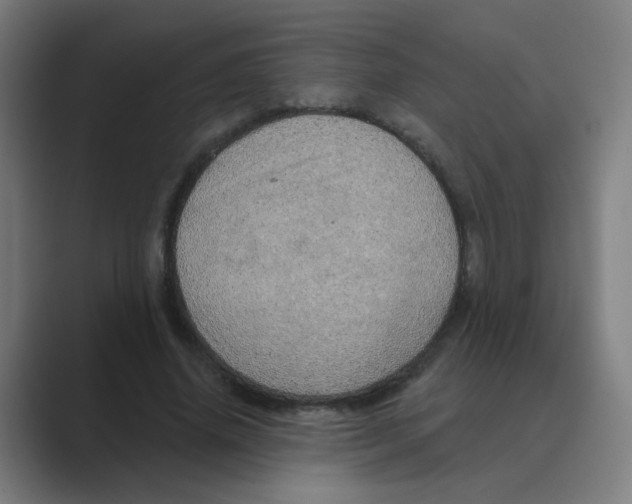 X0000088670636200706281922