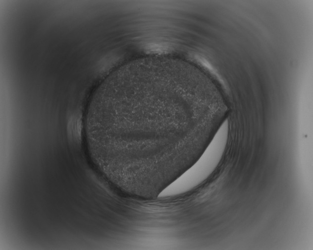 X0000088670637200706281922