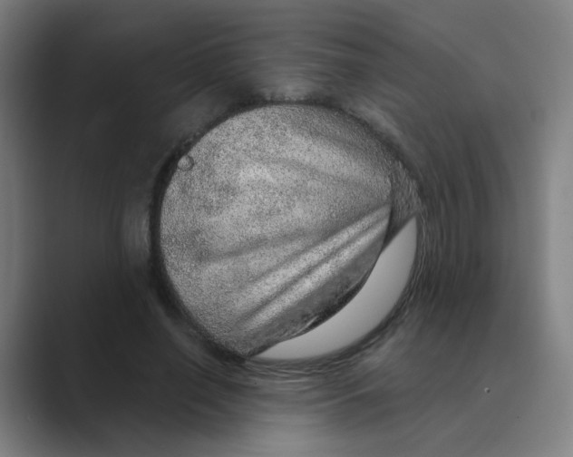 X0000088670638200706281922