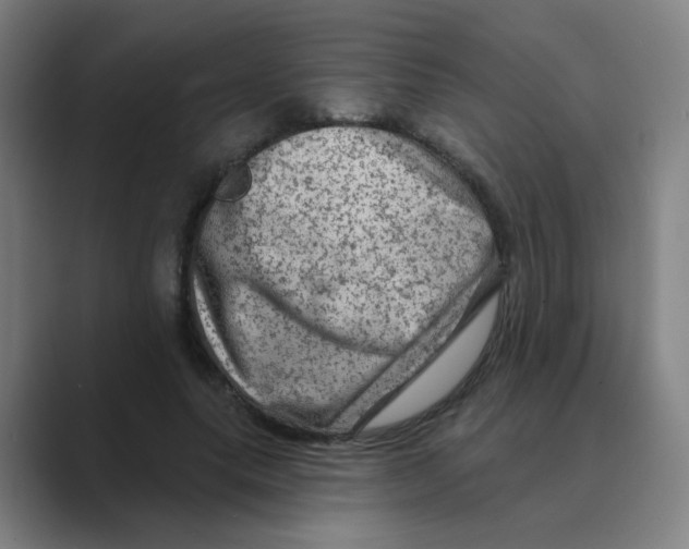 X0000088670639200706281922