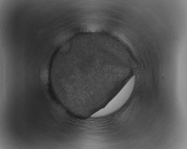 X0000088670640200706281922