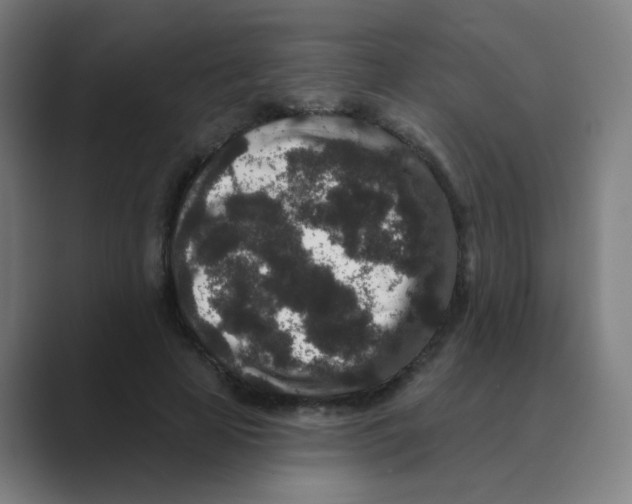 X0000088670641200706281922
