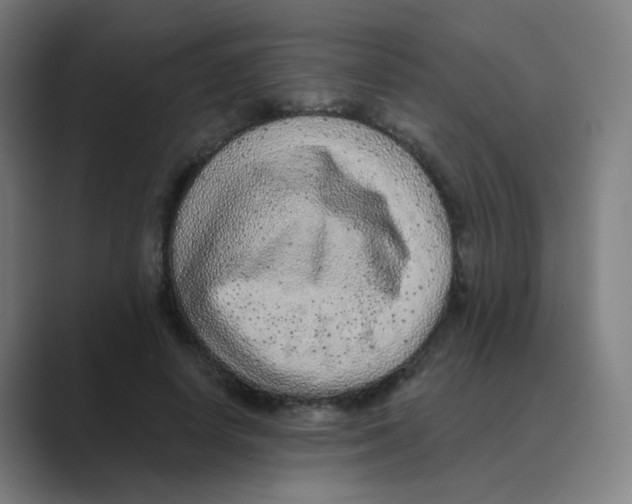X0000088670642200706281922
