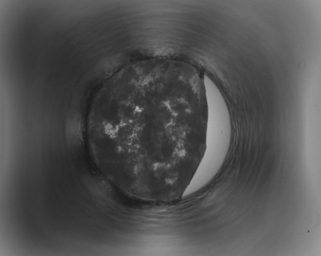 X0000088670643200706281922