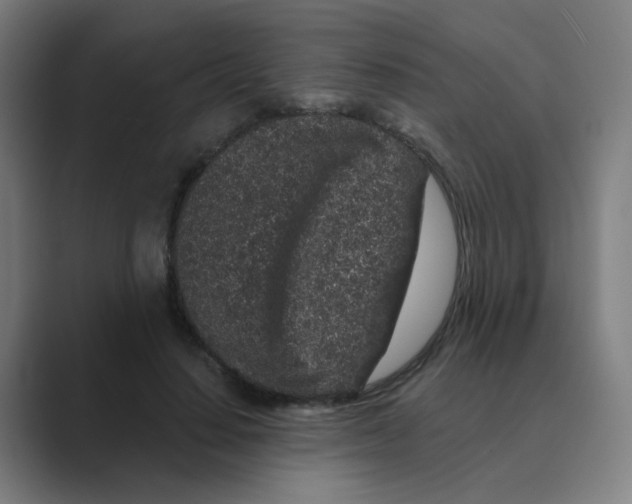 X0000088670644200706281922