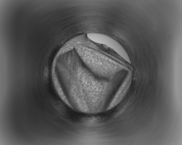 X0000088670646200706281922