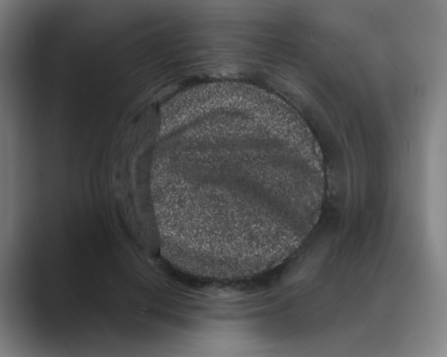 X0000088670648200706281922