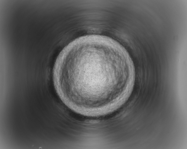 X0000088670649200706281922