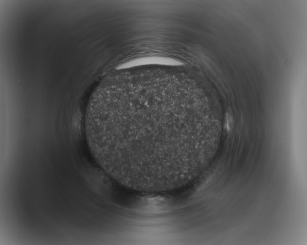 X0000088670650200706281922