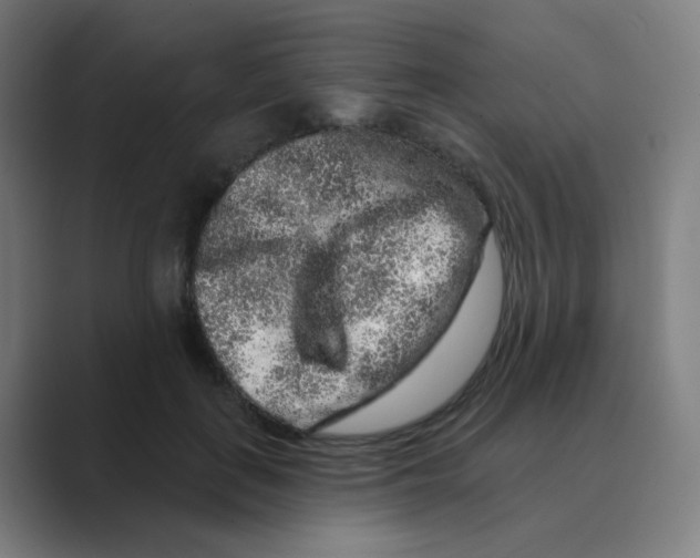 X0000088670651200706281922