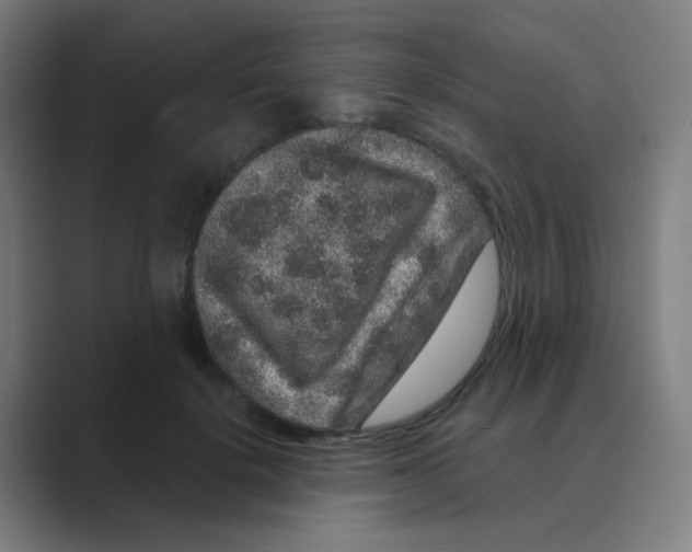 X0000088670652200706281922