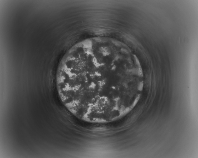 X0000088670653200706281922
