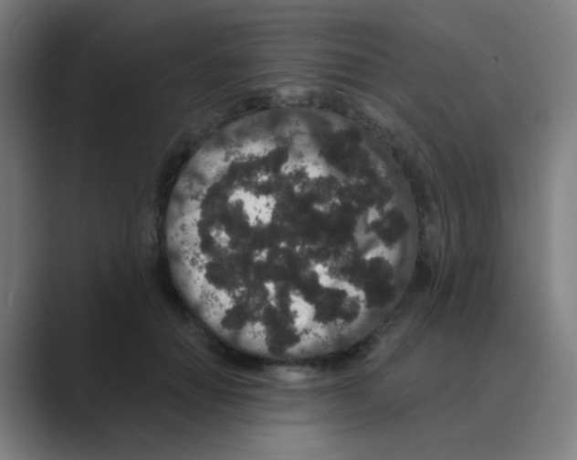 X0000088670654200706281922