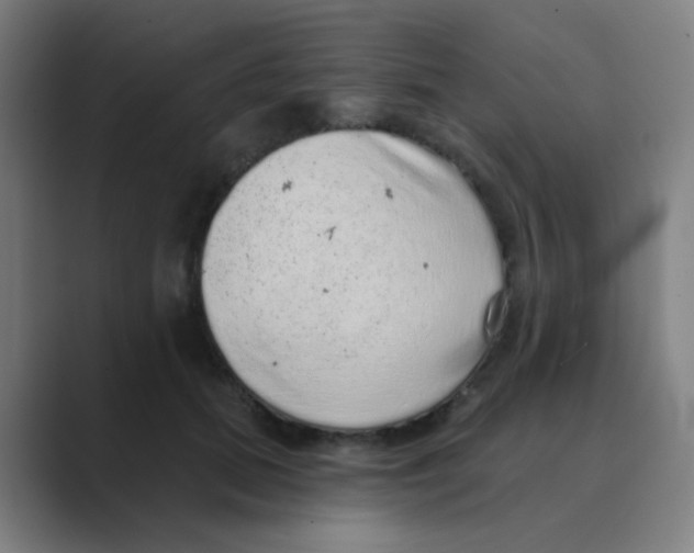 X0000088670655200706281922