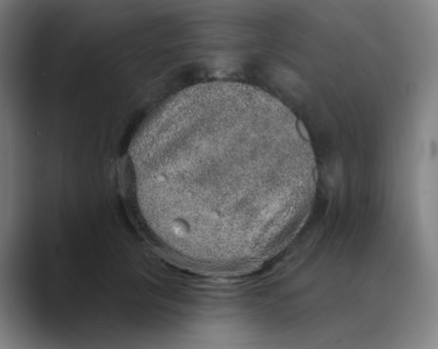 X0000088670657200706281922