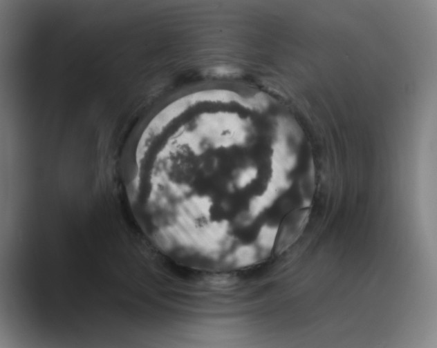 X0000088670659200706281922