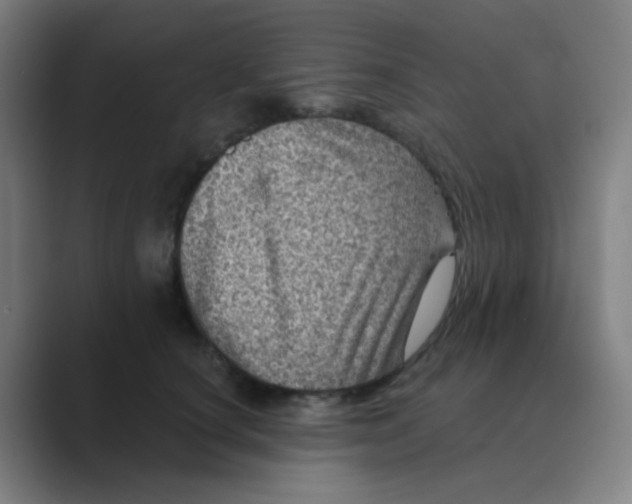 X0000088670660200706281922