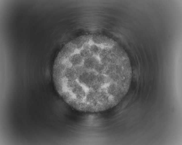X0000088670662200706281922