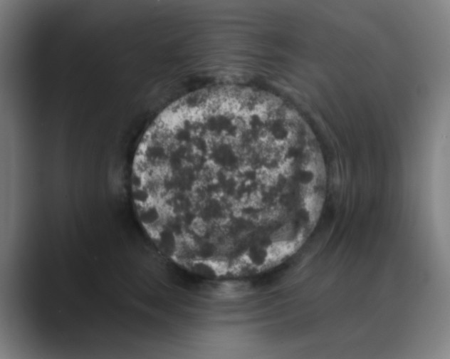 X0000088670663200706281922